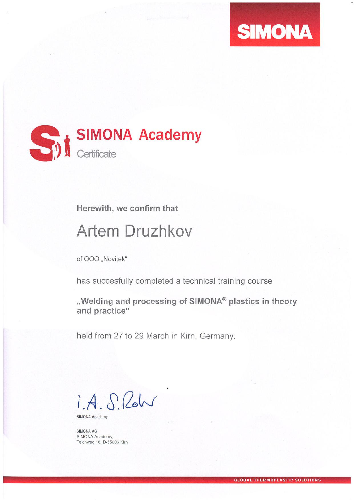 33 - Simona Дружков А. (Пластик в теории и практике)